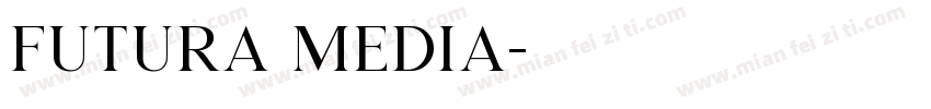 futura media字体转换
